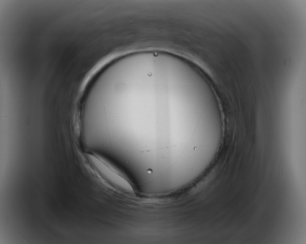 X0000086041510200704131923