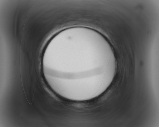 X0000086041511200704131923