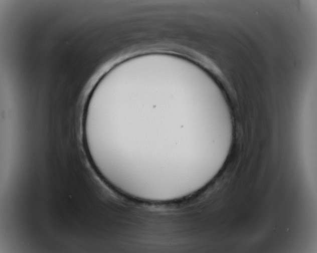 X0000086041512200704131923