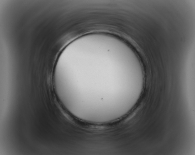 X0000086041513200704131923