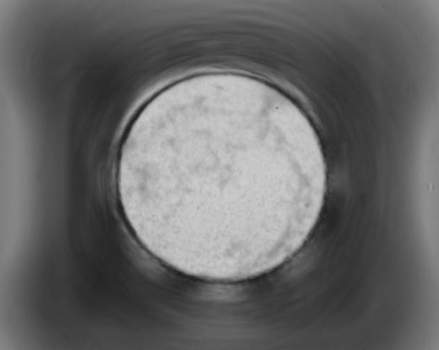 X0000086041514200704131923