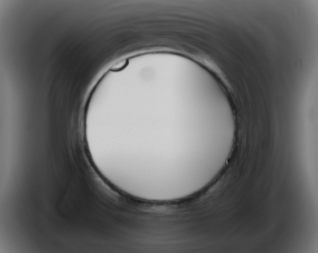 X0000086041516200704131923