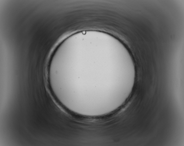 X0000086041517200704131923