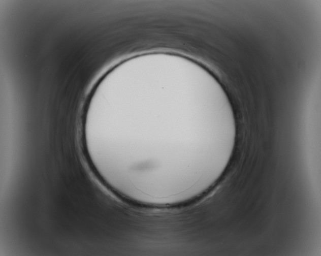 X0000086041518200704131923
