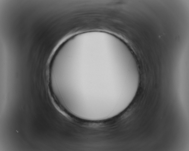 X0000086041519200704131923