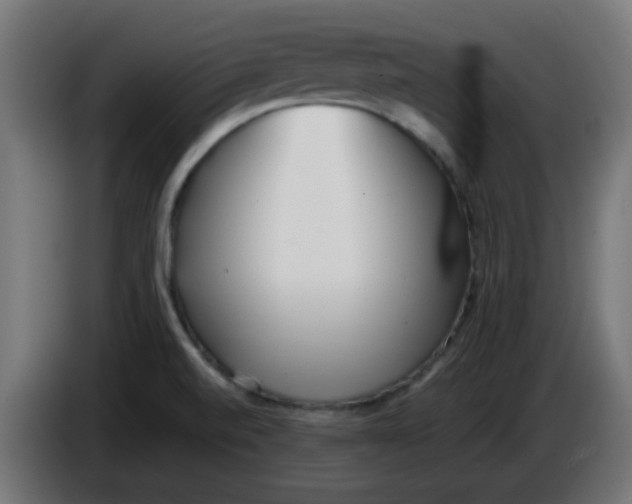 X0000086041520200704131923