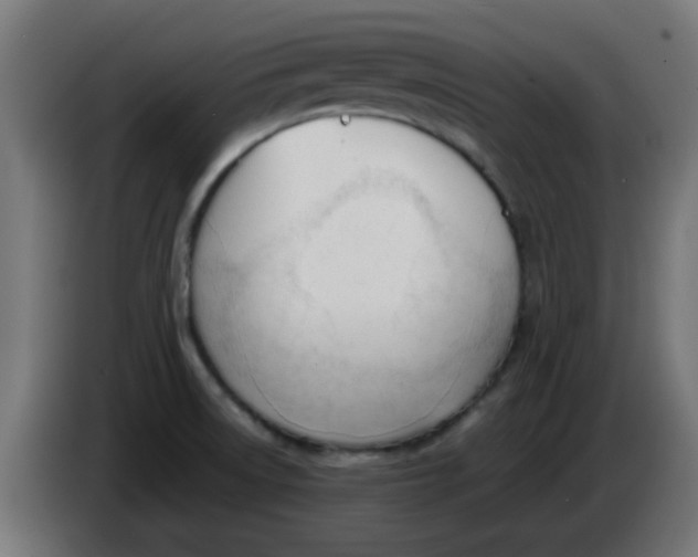 X0000086041522200704131923
