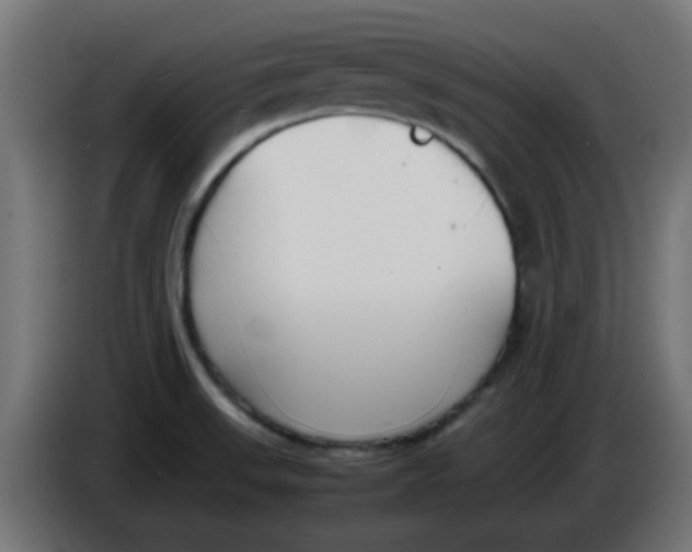 X0000086041523200704131923