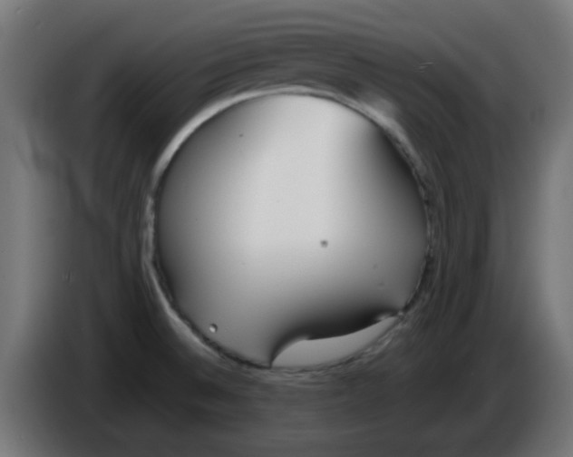 X0000086041524200704131923