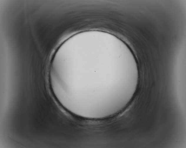 X0000086041525200704131923