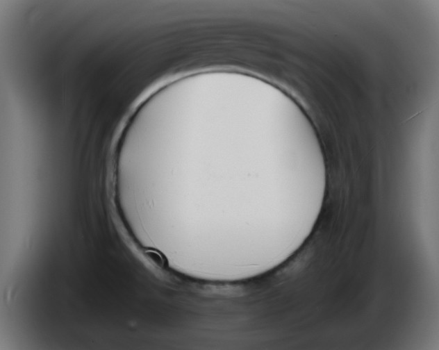 X0000086041526200704131923