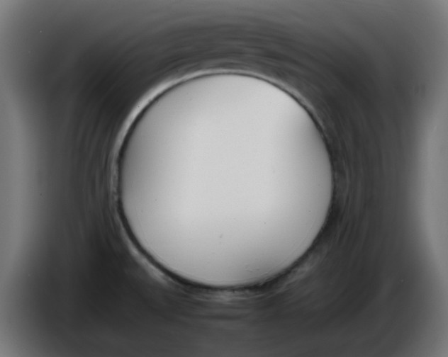 X0000086041527200704131924