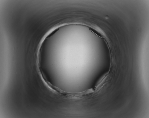 X0000086041528200704131924