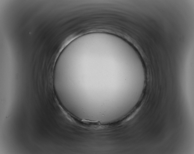 X0000086041529200704131924
