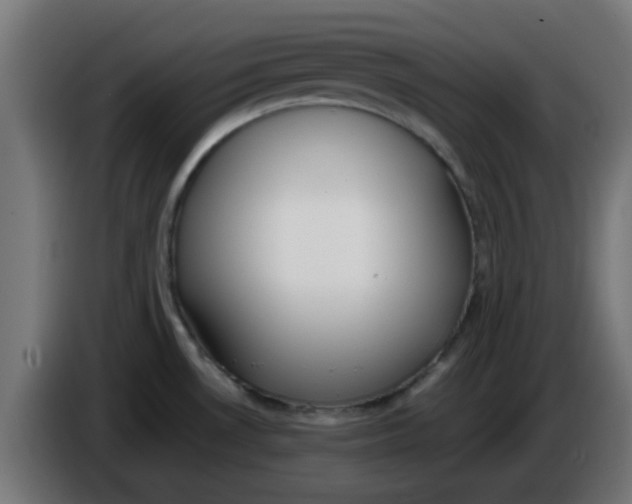 X0000086041530200704131924