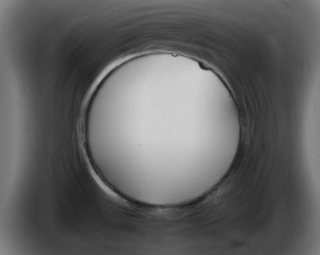 X0000086041531200704131924