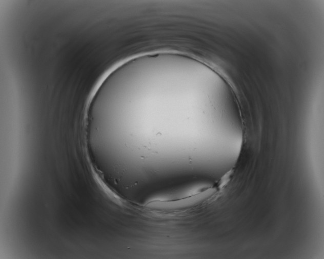 X0000086041532200704131924