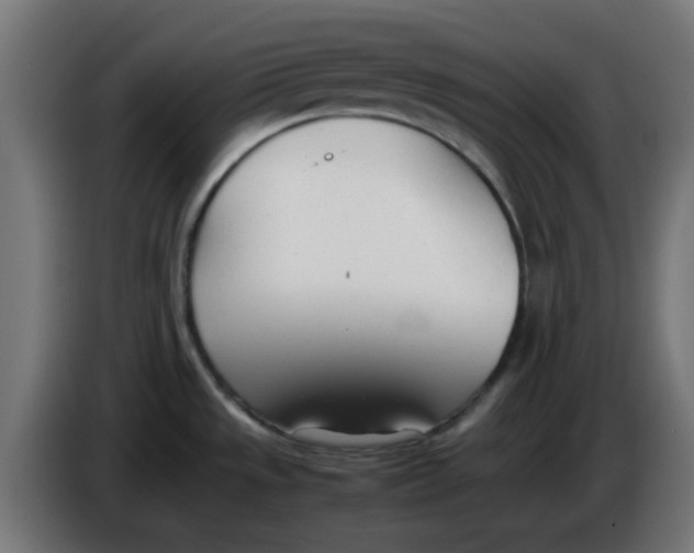 X0000086041533200704131924