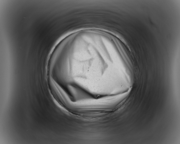 X0000086041535200704131924