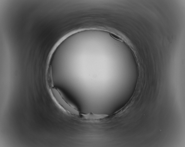 X0000086041536200704131924