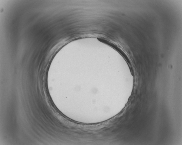 X0000086040001200704202023