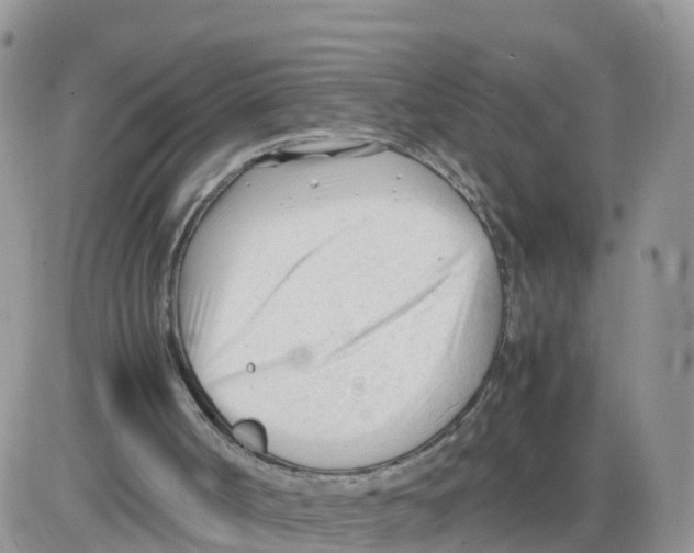 X0000086040002200704202022