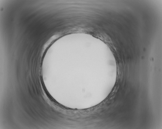 X0000086040003200704202022