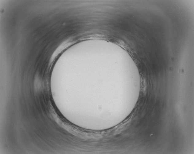 X0000086040004200704202022