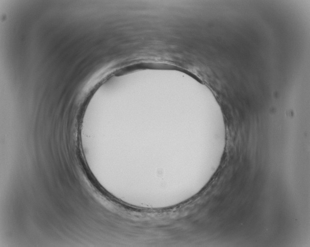 X0000086040005200704202022