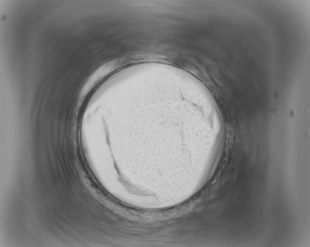 X0000086040006200704202022