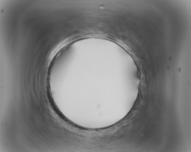 X0000086040007200704202022