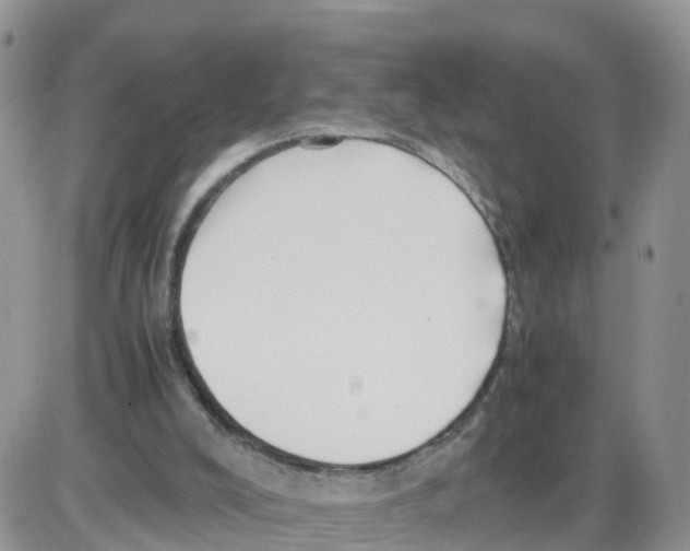 X0000086040008200704202022