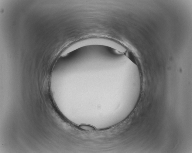 X0000086040009200704202022