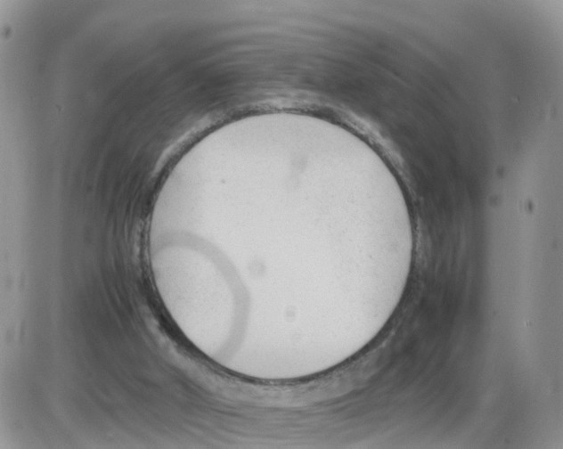 X0000086040010200704202022