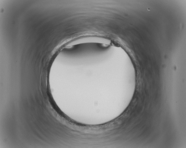 X0000086040011200704202022