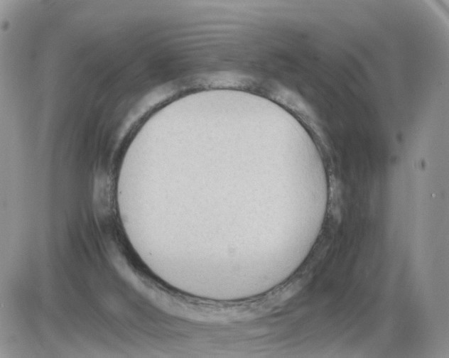 X0000086040012200704202022