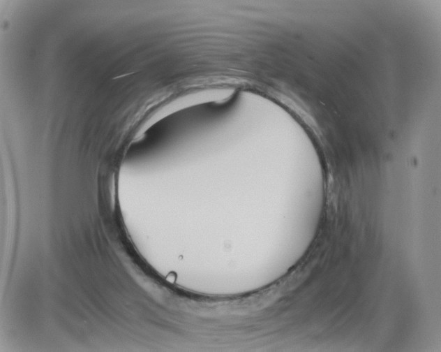 X0000086040013200704202022