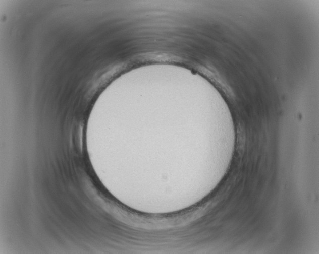 X0000086040014200704202022