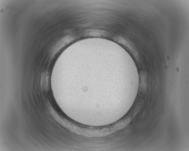 X0000086040016200704202022