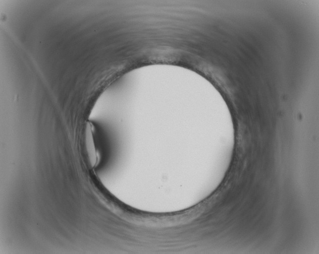 X0000086040017200704202022