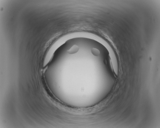 X0000086040019200704202022