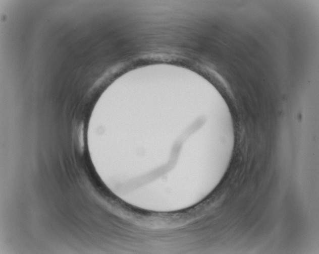 X0000086040020200704202022