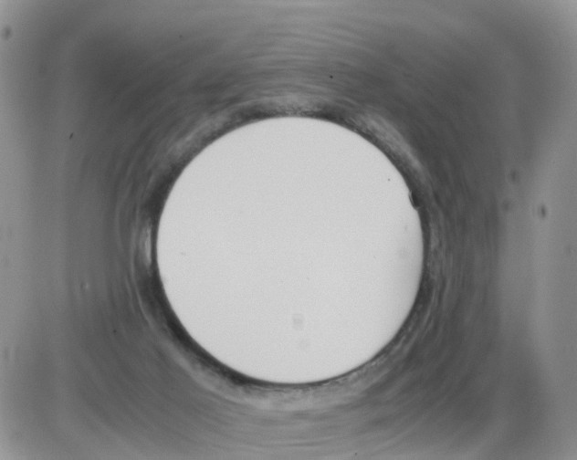 X0000086040021200704202022