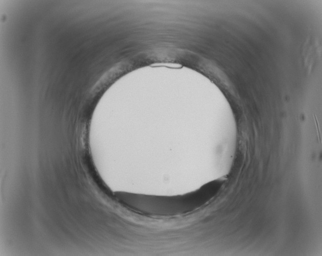 X0000086040023200704202022