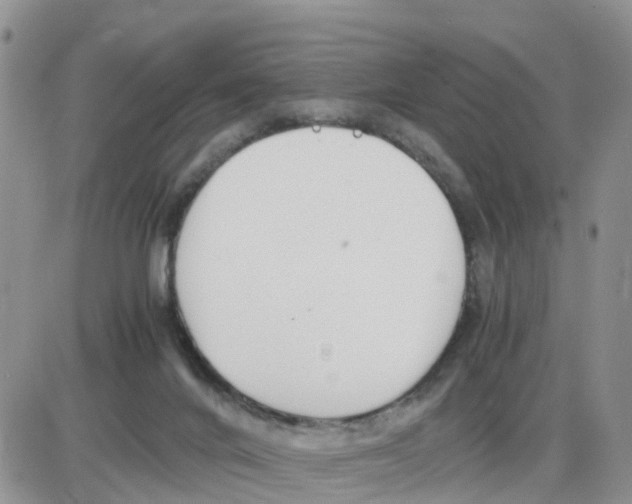 X0000086040024200704202022