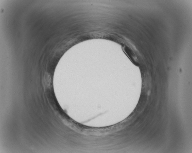 X0000086040025200704202022