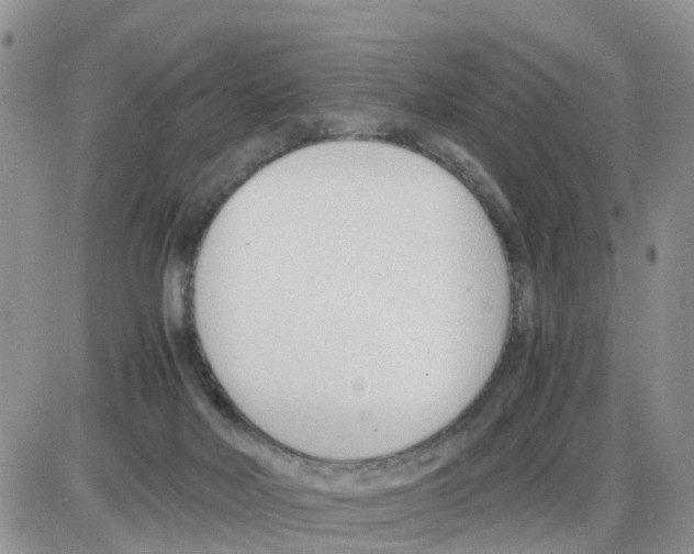 X0000086040026200704202022