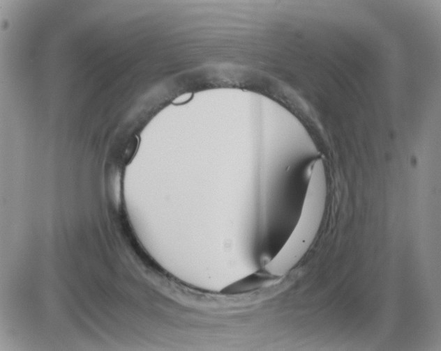 X0000086040027200704202022