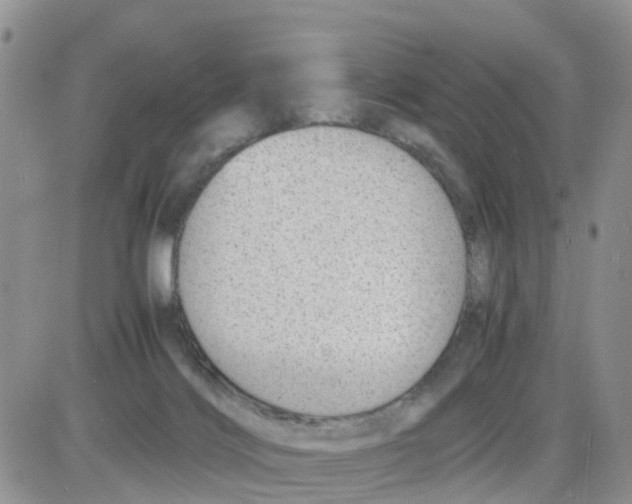 X0000086040028200704202022