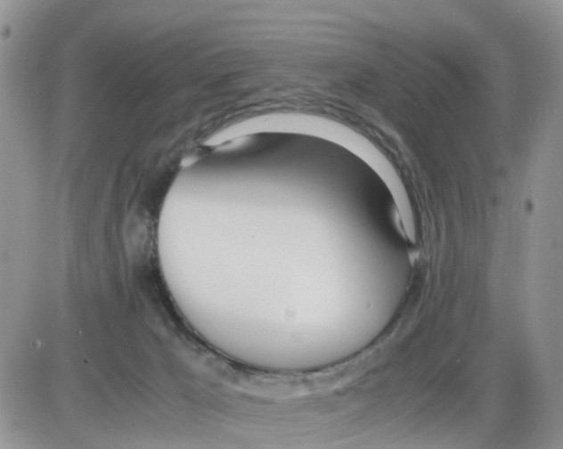 X0000086040029200704202022